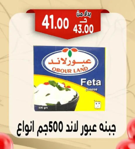 available at Bondok Market  in Egypt - Cairo