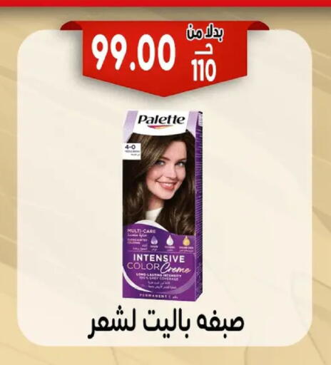 available at Bondok Market  in Egypt - Cairo