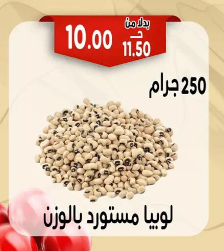 available at بندق ماركت in Egypt - القاهرة
