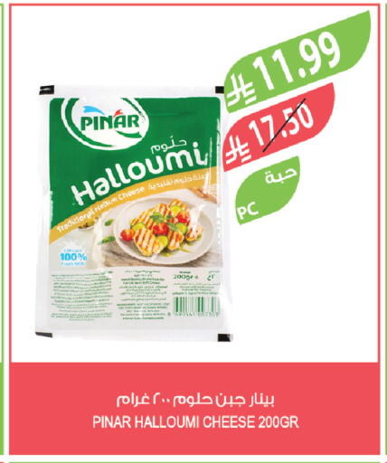 available at Farm  in KSA, Saudi Arabia, Saudi - Al-Kharj