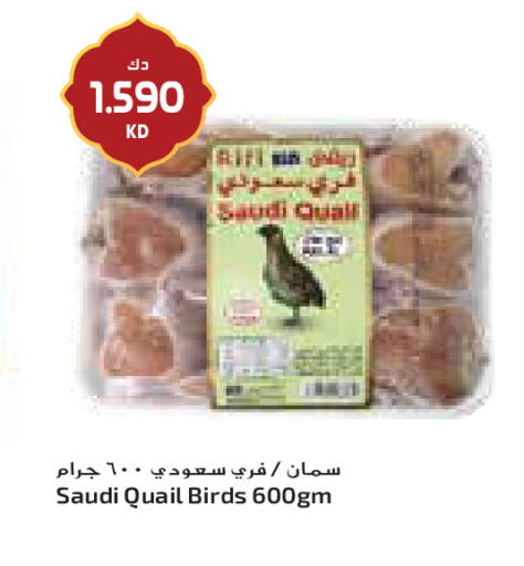 available at جراند كوستو in الكويت - مدينة الكويت