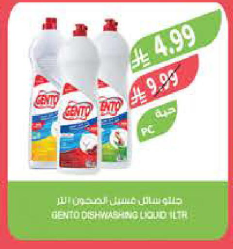 available at المزرعة in مملكة العربية السعودية, السعودية, سعودية - تبوك