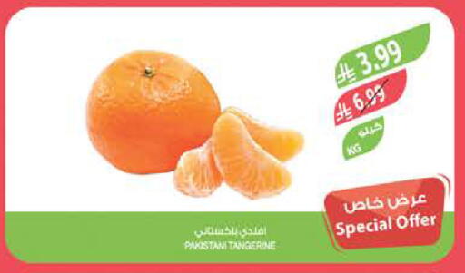 from Pakistan available at المزرعة in مملكة العربية السعودية, السعودية, سعودية - تبوك