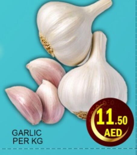Garlic available at Green Gift Department Store in UAE - Dubai