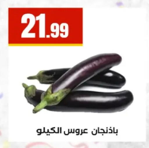 available at El Mahlawy Stores in Egypt - Cairo