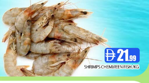 available at عين المدينة هايبرماركت in الإمارات العربية المتحدة , الامارات - الشارقة / عجمان