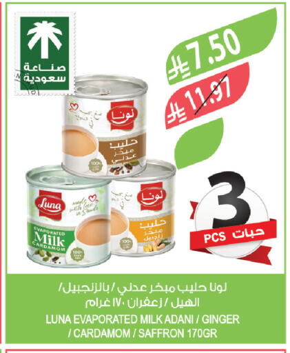 Cardamom Ginger Saffron available at Farm  in KSA, Saudi Arabia, Saudi - Al-Kharj
