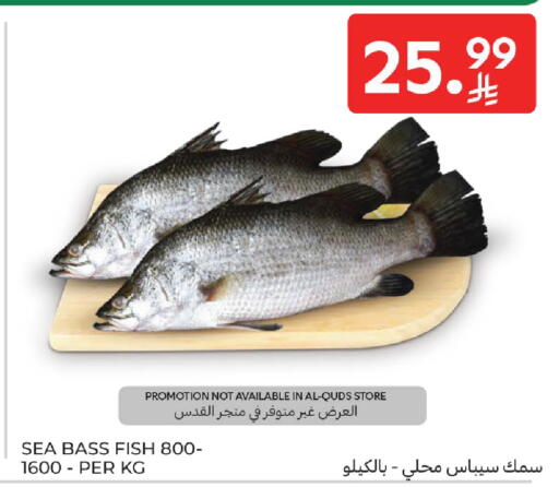 available at Carrefour in KSA, Saudi Arabia, Saudi - Sakaka