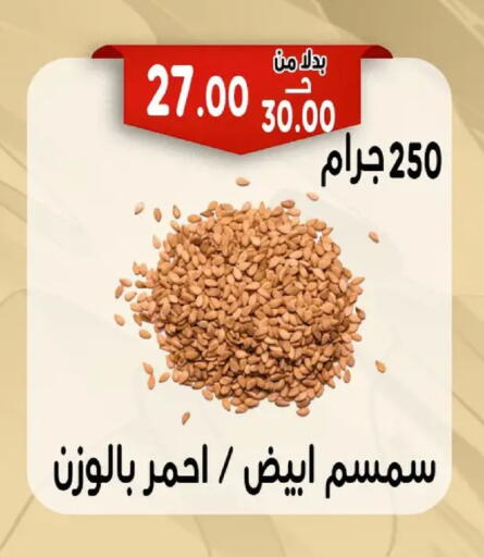 available at بندق ماركت in Egypt - القاهرة