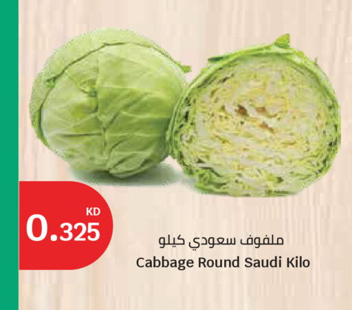 Cabbage from Saudi Arabia available at City Hypermarket in Kuwait - Ahmadi Governorate