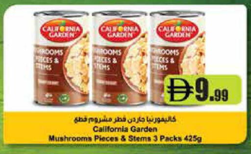 available at إسطنبول سوبرماركت in الإمارات العربية المتحدة , الامارات - رَأْس ٱلْخَيْمَة