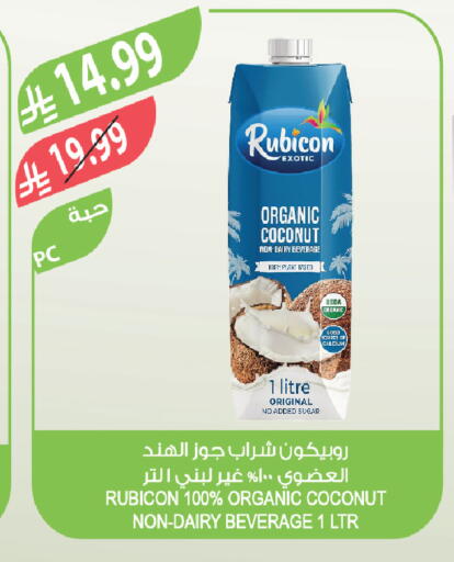 Coconut available at Farm  in KSA, Saudi Arabia, Saudi - Al-Kharj