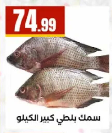 available at El Mahlawy Stores in Egypt - Cairo