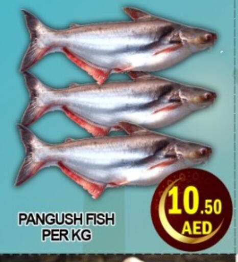 available at Green Gift Department Store in UAE - Dubai