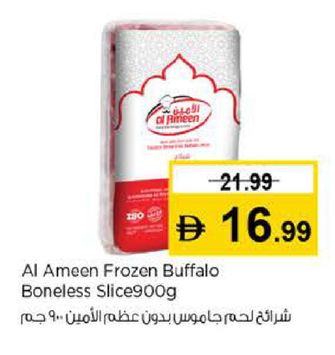 available at لاست تشانس in الإمارات العربية المتحدة , الامارات - ٱلْفُجَيْرَة‎