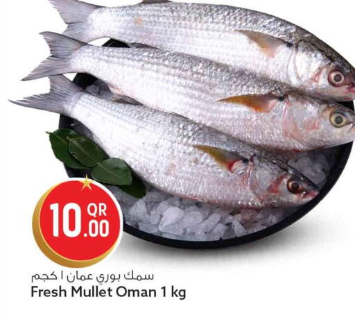 available at سفاري هايبر ماركت in قطر - الدوحة