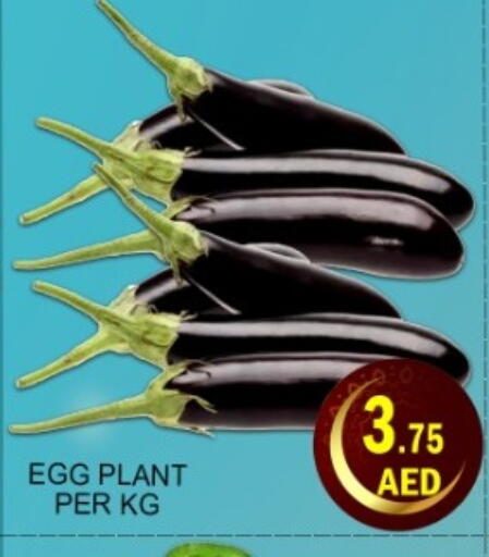 available at Green Gift Department Store in UAE - Dubai