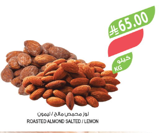 Lemon available at Farm  in KSA, Saudi Arabia, Saudi - Al-Kharj