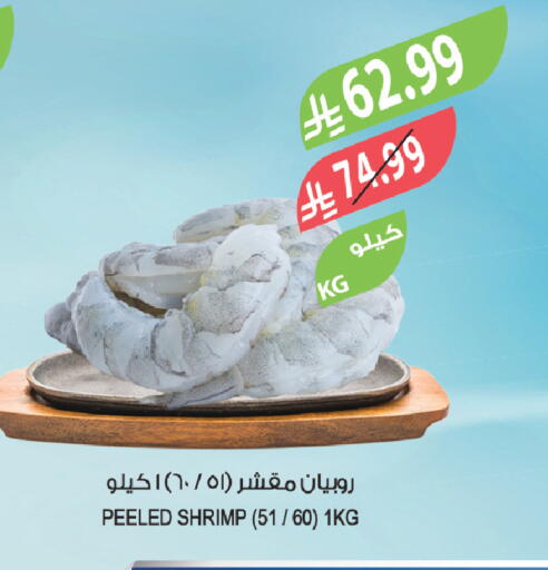 available at المزرعة in مملكة العربية السعودية, السعودية, سعودية - سكاكا