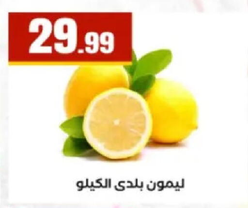 available at El Mahlawy Stores in Egypt - Cairo