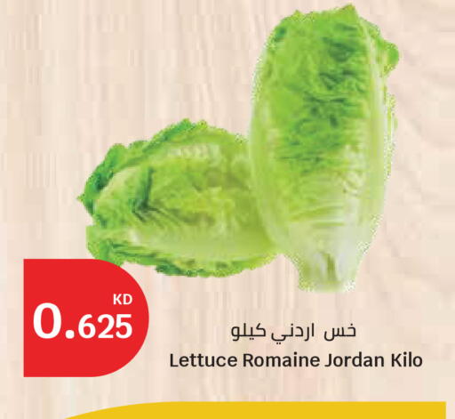 Lettuce from Jordan available at City Hypermarket in Kuwait - Ahmadi Governorate