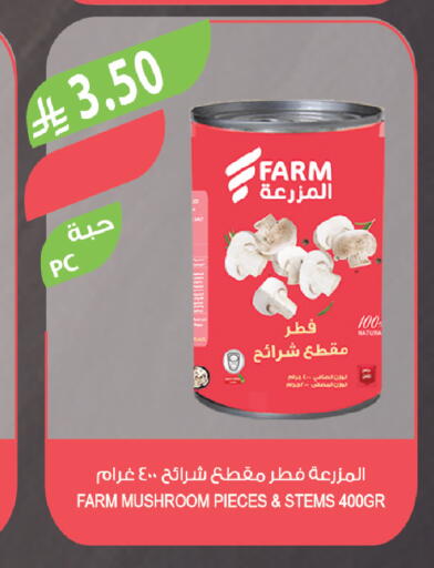 Mushroom available at Farm  in KSA, Saudi Arabia, Saudi - Qatif
