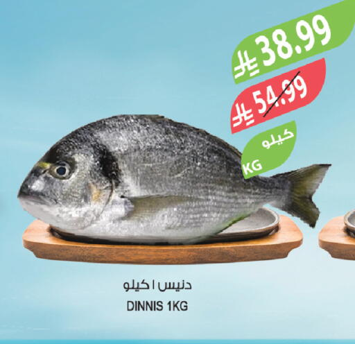 available at Farm  in KSA, Saudi Arabia, Saudi - Sakaka