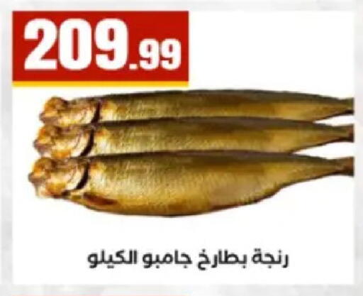 available at El Mahlawy Stores in Egypt - Cairo