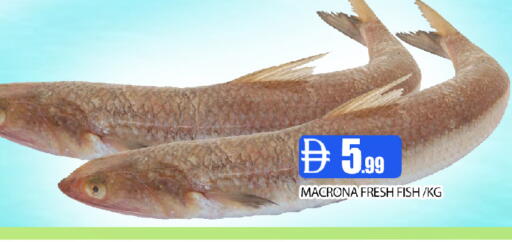 available at عين المدينة هايبرماركت in الإمارات العربية المتحدة , الامارات - الشارقة / عجمان