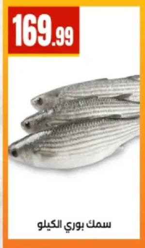 available at El Mahlawy Stores in Egypt - Cairo