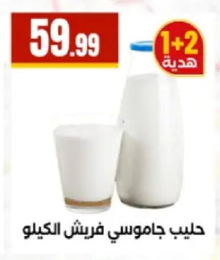 available at El Mahlawy Stores in Egypt - Cairo