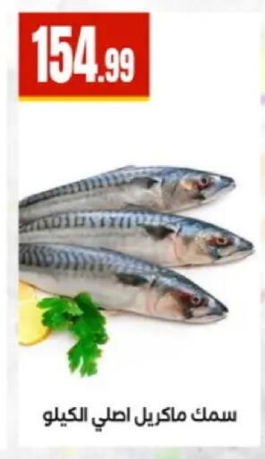 available at El Mahlawy Stores in Egypt - Cairo