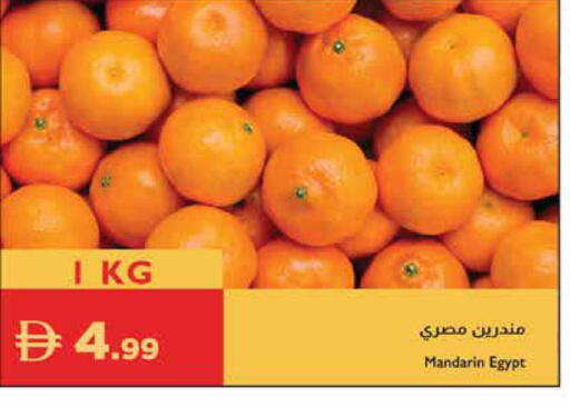 Mandarin from Egypt available at إسطنبول سوبرماركت in الإمارات العربية المتحدة , الامارات - رَأْس ٱلْخَيْمَة