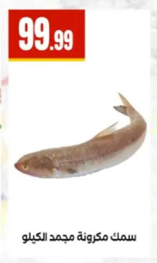 available at مارت فيل in Egypt - القاهرة