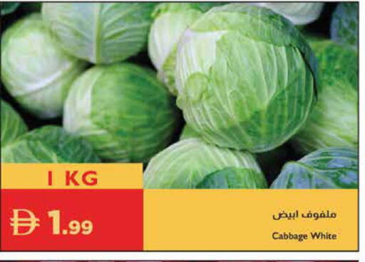 Cabbage available at إسطنبول سوبرماركت in الإمارات العربية المتحدة , الامارات - رَأْس ٱلْخَيْمَة