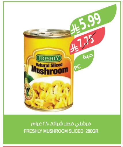 Mushroom available at Farm  in KSA, Saudi Arabia, Saudi - Qatif