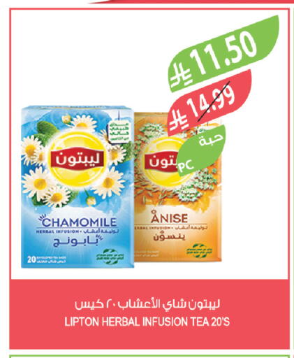 available at Farm  in KSA, Saudi Arabia, Saudi - Al-Kharj