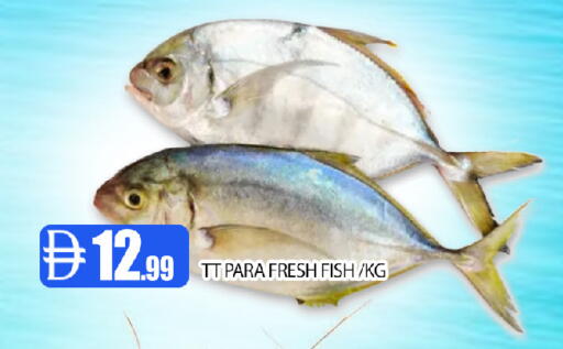 available at عين المدينة هايبرماركت in الإمارات العربية المتحدة , الامارات - الشارقة / عجمان