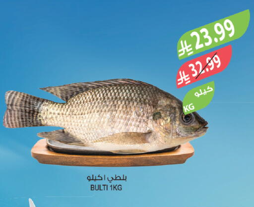 available at Farm  in KSA, Saudi Arabia, Saudi - Sakaka