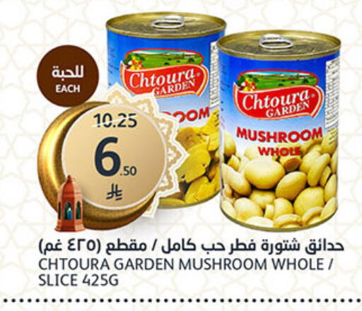 Mushroom available at مركز الجزيرة للتسوق in مملكة العربية السعودية, السعودية, سعودية - الرياض