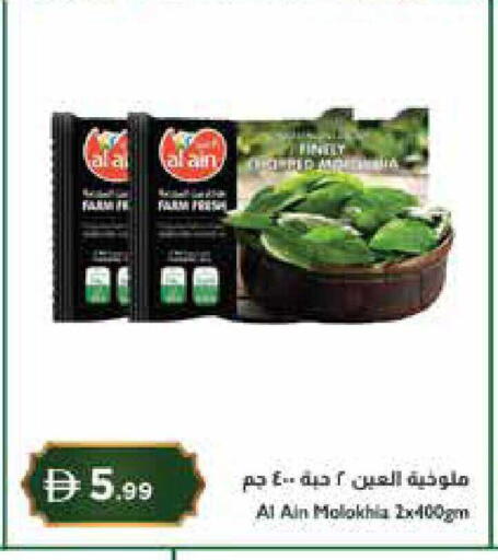 available at إسطنبول سوبرماركت in الإمارات العربية المتحدة , الامارات - رَأْس ٱلْخَيْمَة