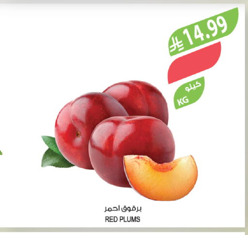 Plums available at المزرعة in مملكة العربية السعودية, السعودية, سعودية - عرعر