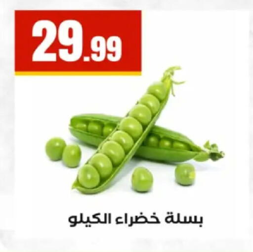 available at El Mahlawy Stores in Egypt - Cairo