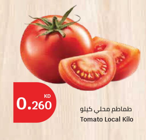 Tomato available at City Hypermarket in Kuwait - Ahmadi Governorate