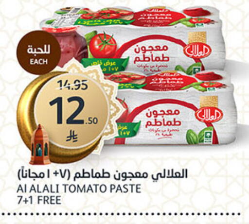 Tomato available at AlJazera Shopping Center in KSA, Saudi Arabia, Saudi - Riyadh