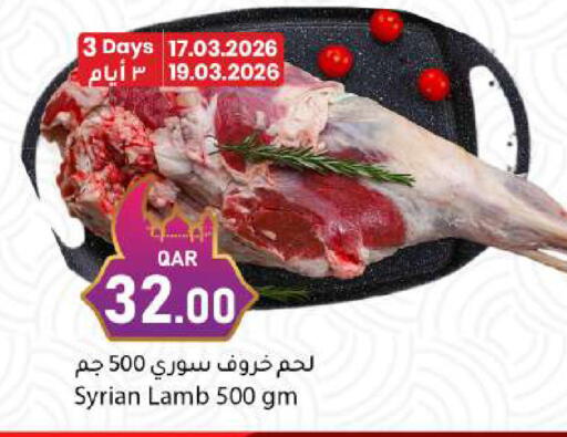 available at دانا ماركت in قطر - الريان