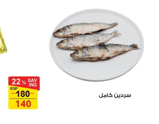 available at فتح الله in Egypt - القاهرة