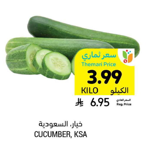 Cucumber available at أسواق التميمي in مملكة العربية السعودية, السعودية, سعودية - حفر الباطن