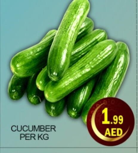 Cucumber available at Green Gift Department Store in UAE - Dubai