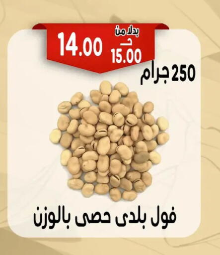 available at Bondok Market  in Egypt - Cairo